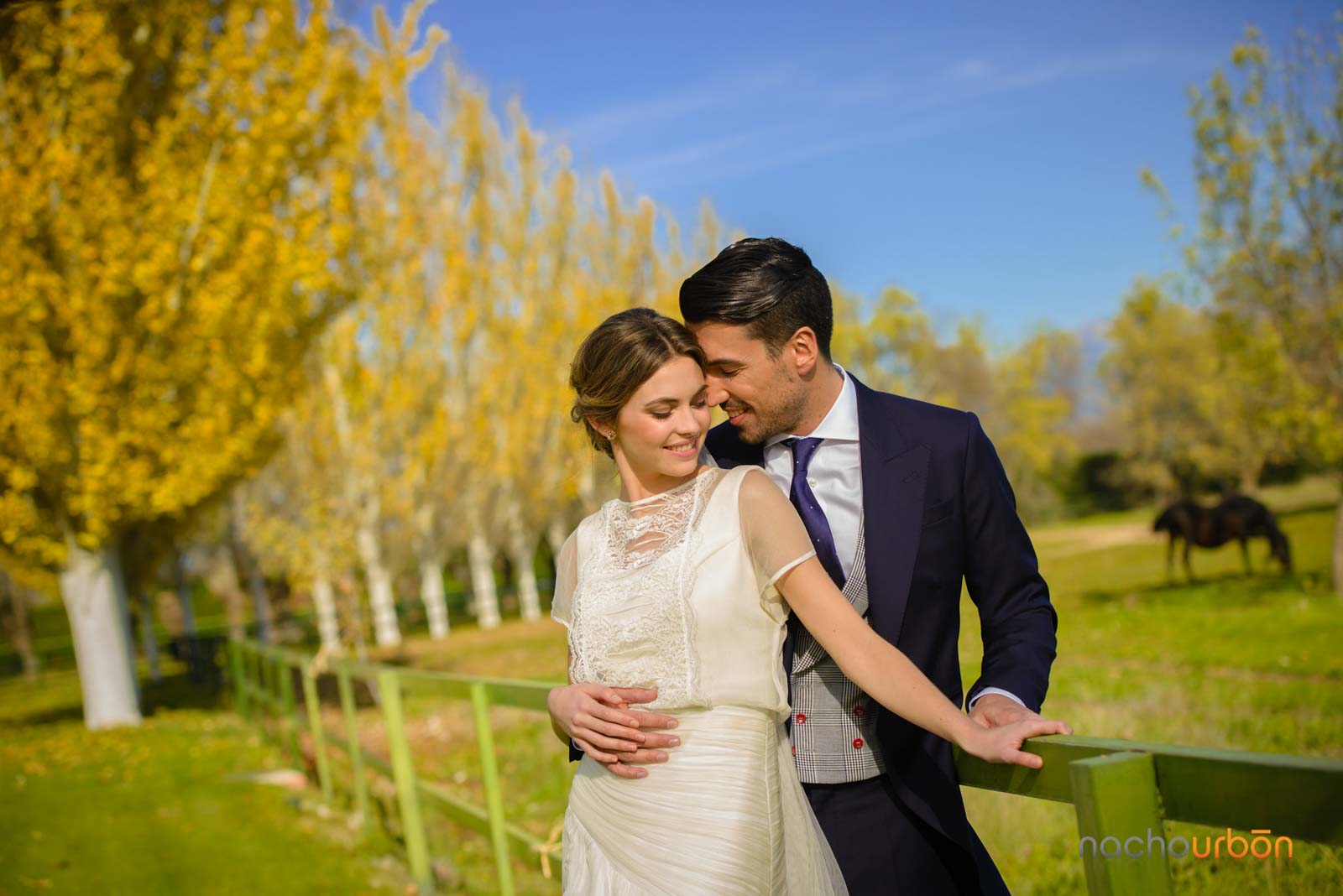 Foto, Bodas, Fotógrafo, especialista, fotografía, urge, urgente, mejor, naturales